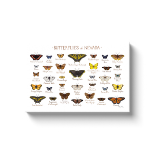 Nevada Butterflies Ready to Hang Canvas Print
