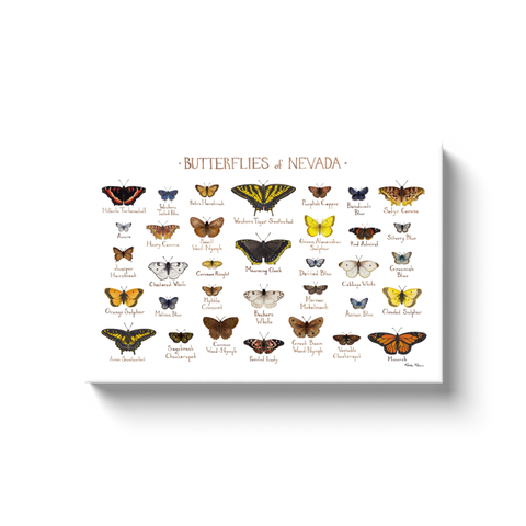 Nevada Butterflies Ready to Hang Canvas Print