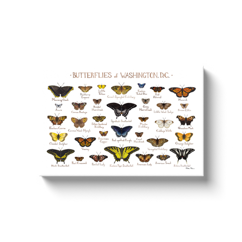 Washington, D.C. Butterflies Ready to Hang Canvas Print