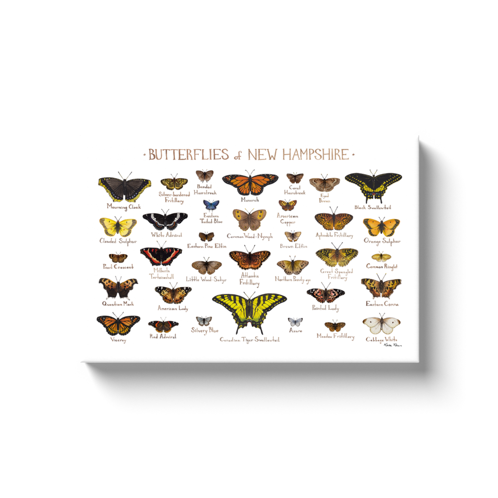 New Hampshire Butterflies Ready to Hang Canvas Print