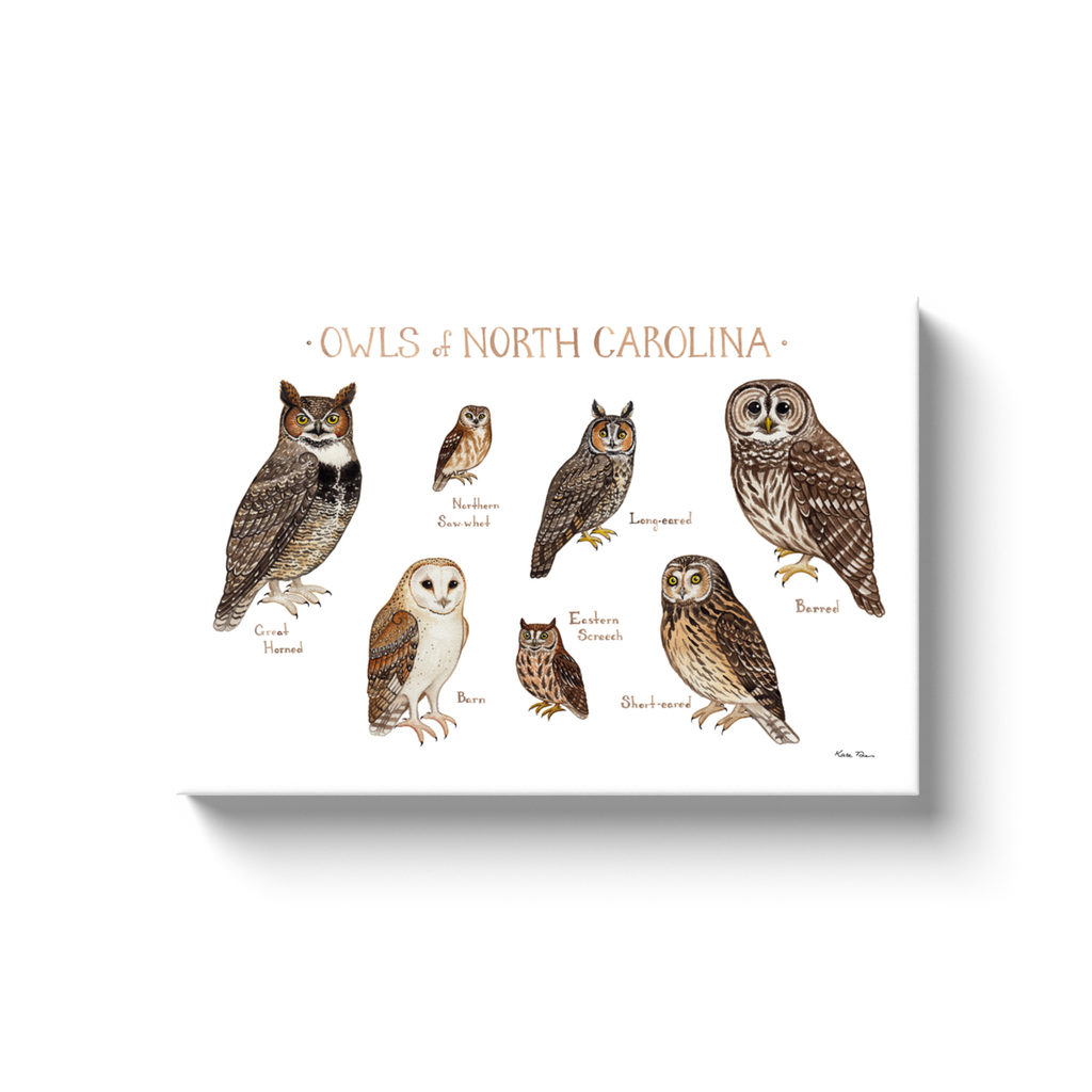North Carolina Owls Ready to Hang Canvas Print