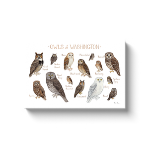 Washington Owls Ready to Hang Canvas Print