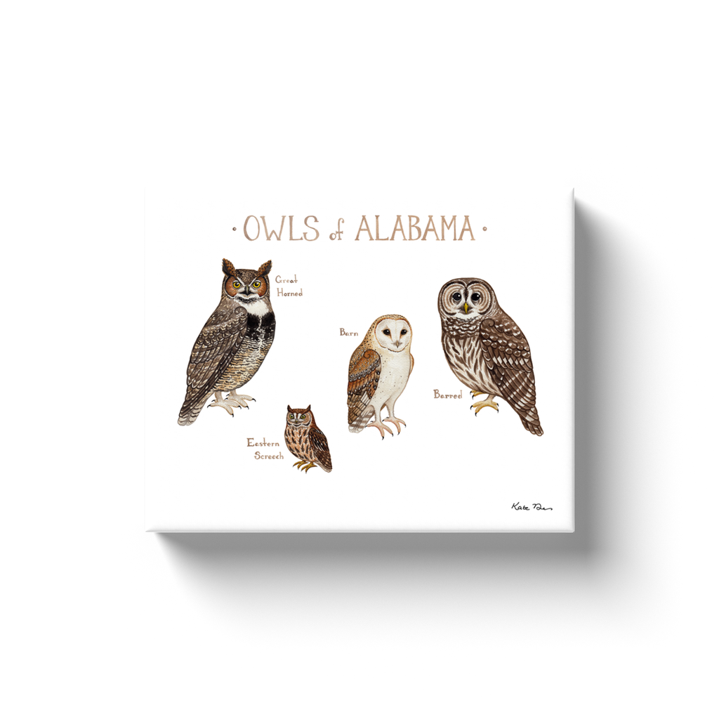 Alabama Owls Ready to Hang Canvas Print