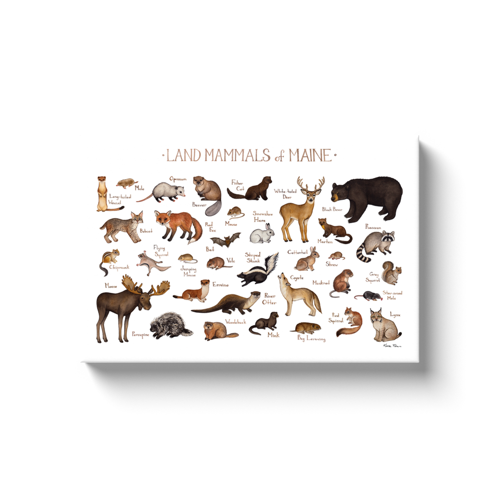 Maine Land Mammals Ready to Hang Canvas Print
