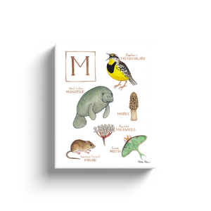 The Letter M Nature Alphabet Ready to Hang Canvas Print