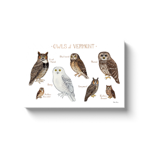 Vermont Owls Ready to Hang Canvas Print