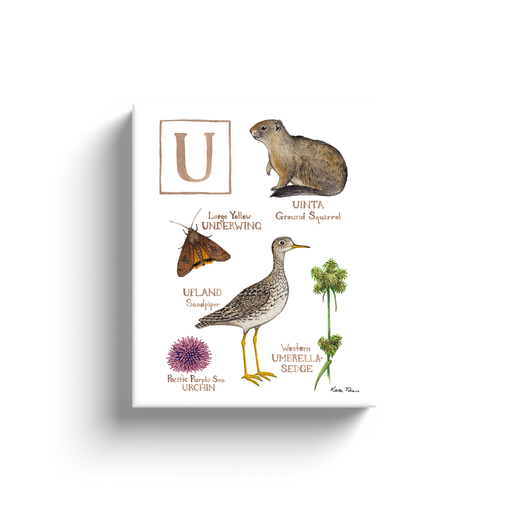 The Letter U Nature Alphabet Ready to Hang Canvas Print