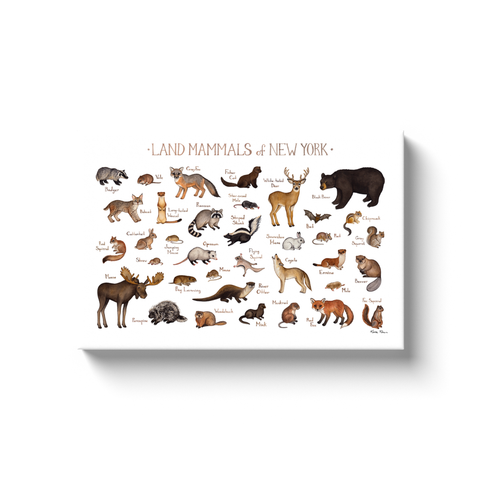 New York Land Mammals Ready to Hang Canvas Print