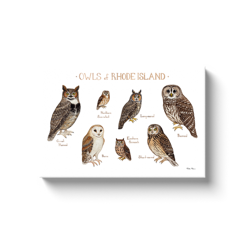 Rhode Island Owls Ready to Hang Canvas Print