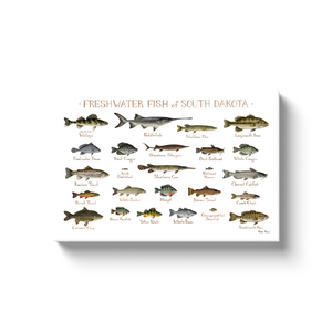 South Dakota Freshwater Fish Ready to Hang Canvas Print