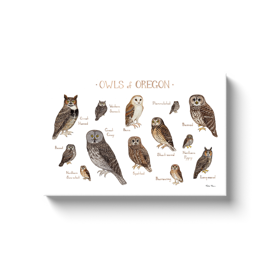 Oregon Owls Ready to Hang Canvas Print