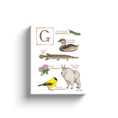 The Letter G Nature Alphabet Ready to Hang Canvas Print