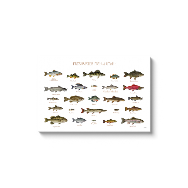 Utah Freshwater Fish Ready to Hang Canvas Print