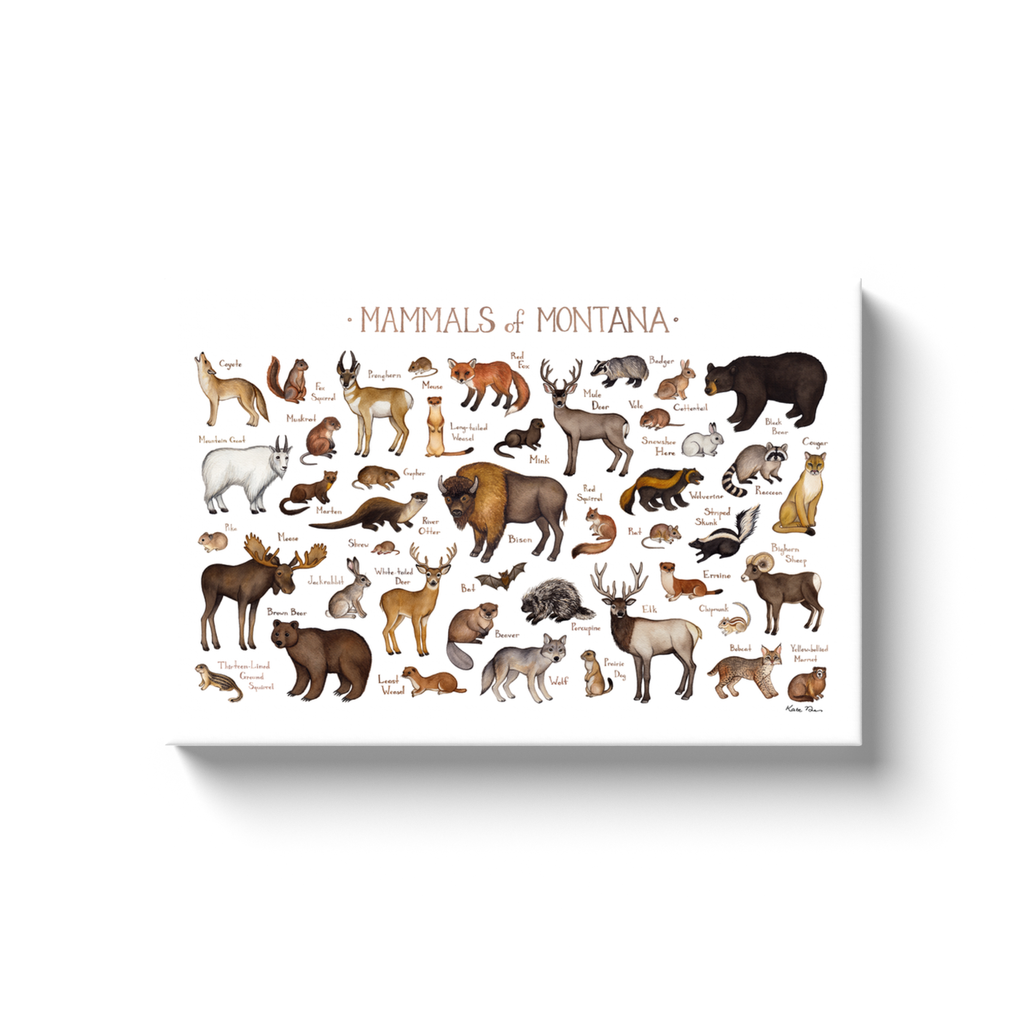 Montana Mammals Ready to Hang Canvas Print