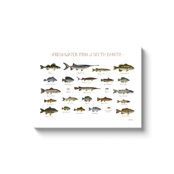 South Dakota Freshwater Fish Ready to Hang Canvas Print