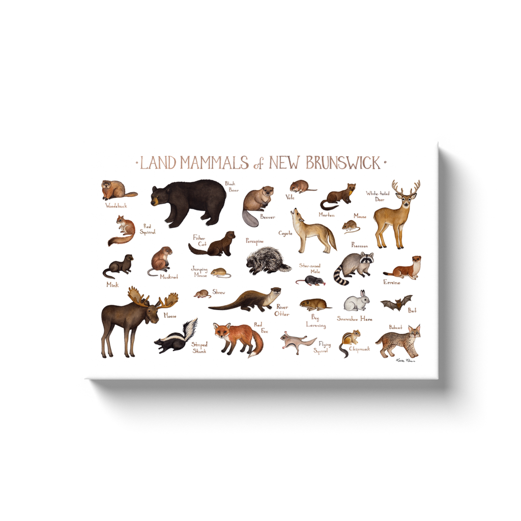 New Brunswick Land Mammals Ready to Hang Canvas Print
