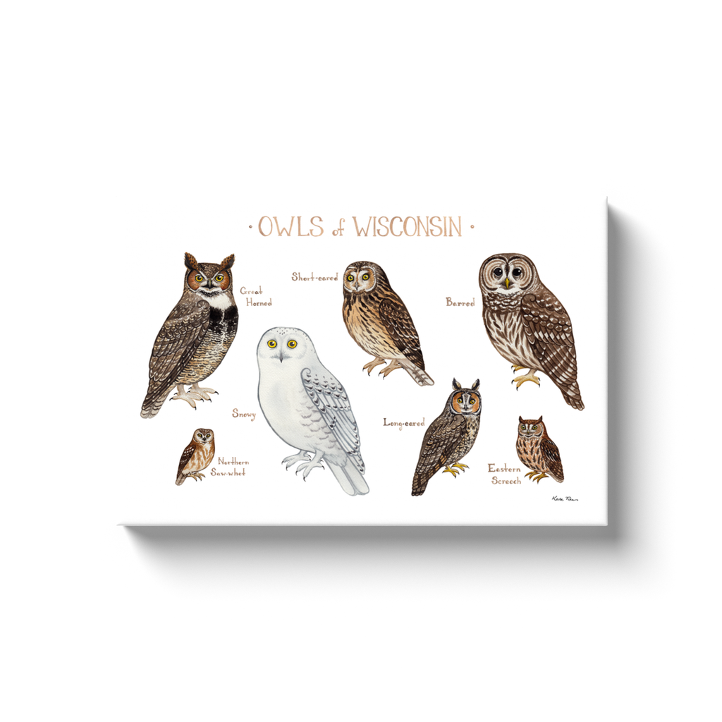 Wisconsin Owls Ready to Hang Canvas Print