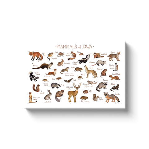 Iowa Mammals Ready to Hang Canvas Print