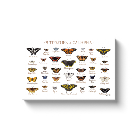 California Butterflies Ready to Hang Canvas Print