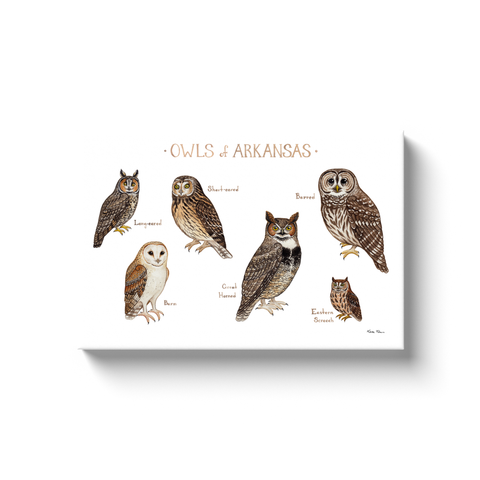 Arkansas Owls Ready to Hang Canvas Print