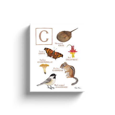 The Letter C Nature Alphabet Ready to Hang Canvas Print