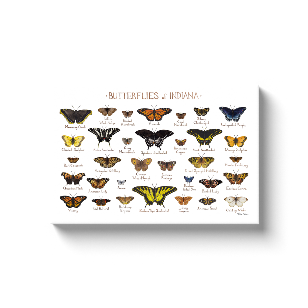 Indiana Butterflies Ready to Hang Canvas Print