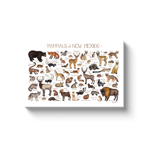 New Mexico Mammals Ready to Hang Canvas Print