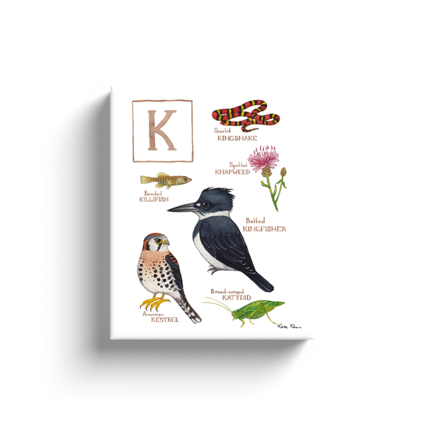 The Letter K Nature Alphabet Ready to Hang Canvas Print