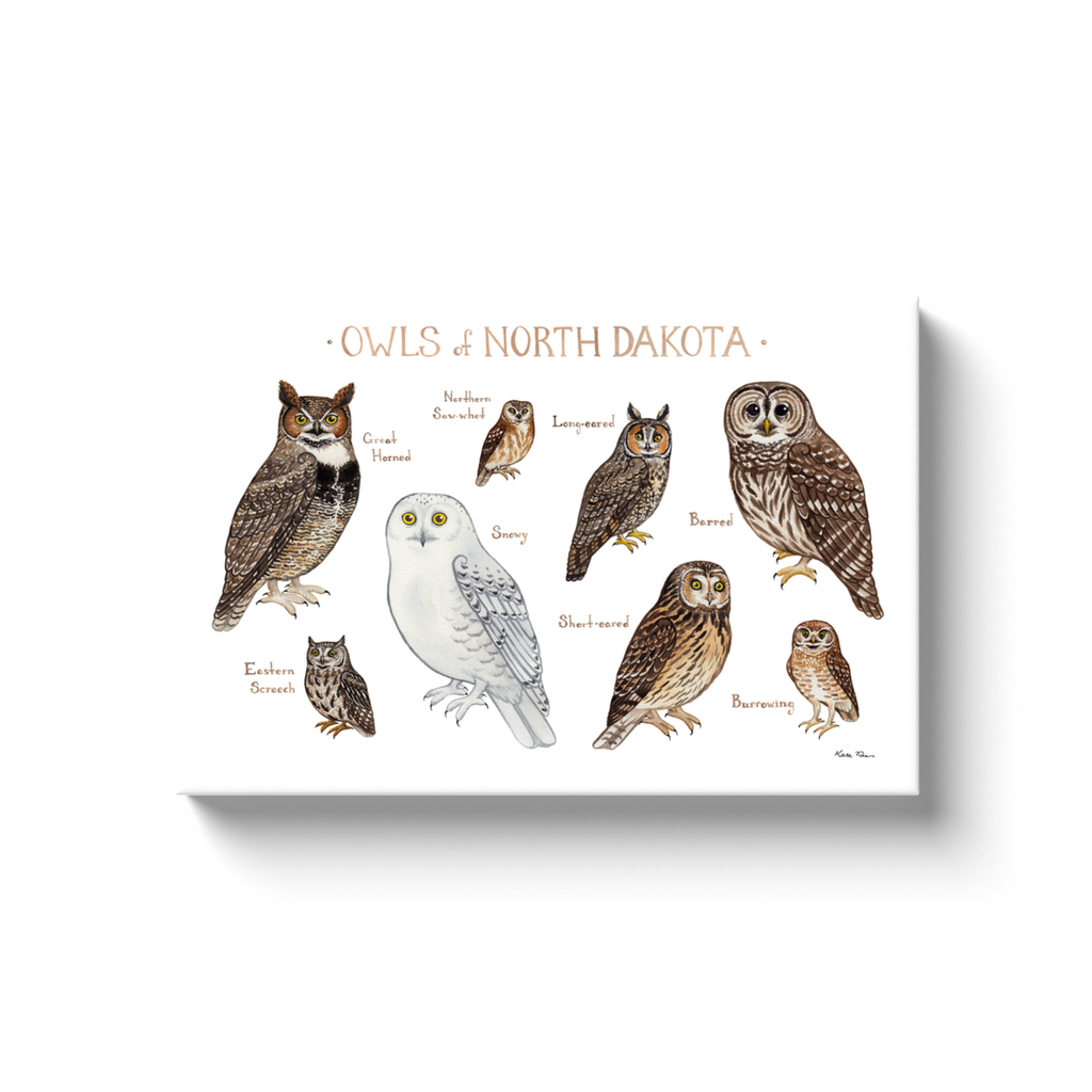 North Dakota Owls Ready to Hang Canvas Print