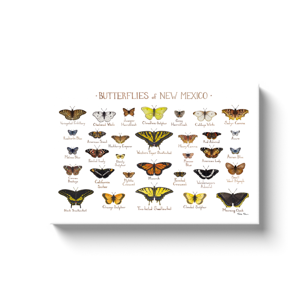 New Mexico Butterflies Ready to Hang Canvas Print