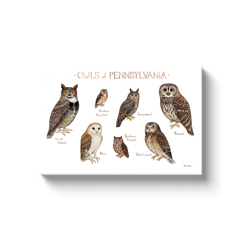 Pennsylvania Owls Ready to Hang Canvas Print