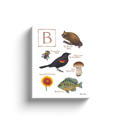 The Letter B Nature Alphabet Ready to Hang Canvas Print