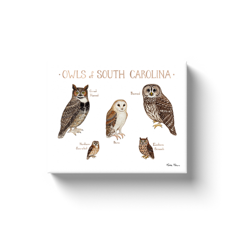 South Carolina Owls Ready to Hang Canvas Print