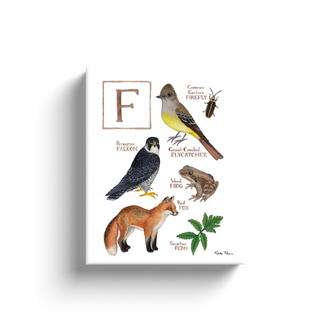 The Letter F Nature Alphabet Ready to Hang Canvas Print