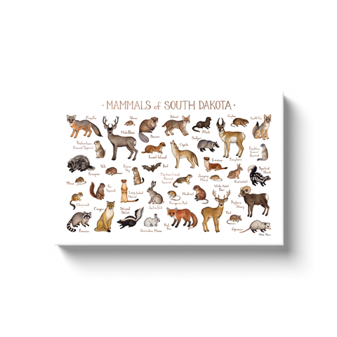 South Dakota Mammals Ready to Hang Canvas Print