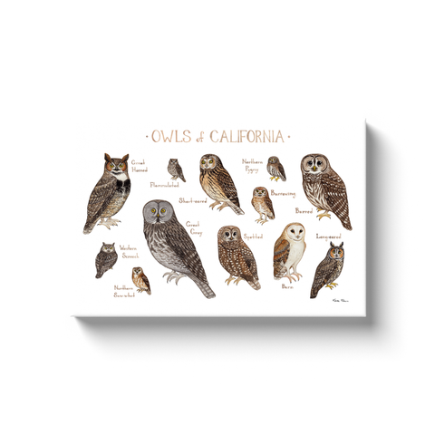 California Owls Ready to Hang Canvas Print
