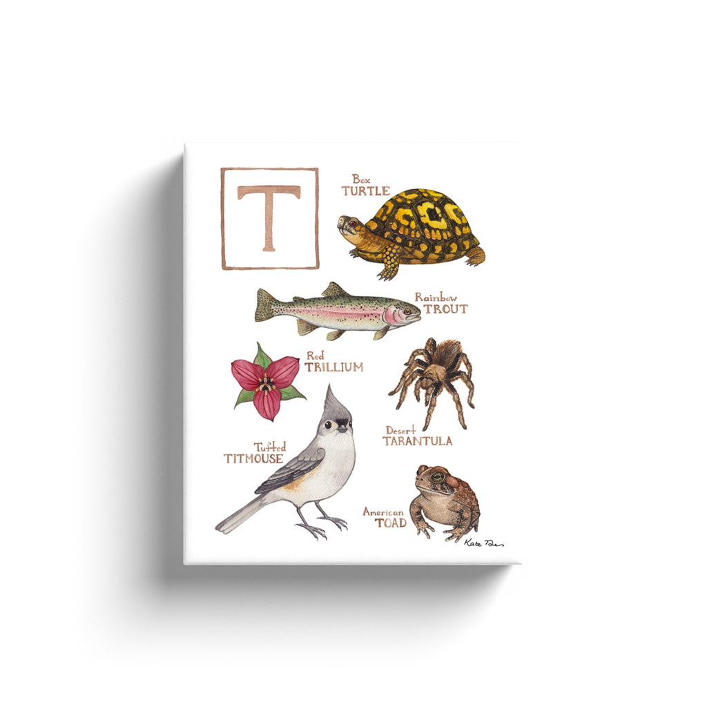 The Letter T Nature Alphabet Ready to Hang Canvas Print