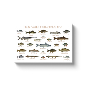 Oklahoma Freshwater Fish Ready to Hang Canvas Print
