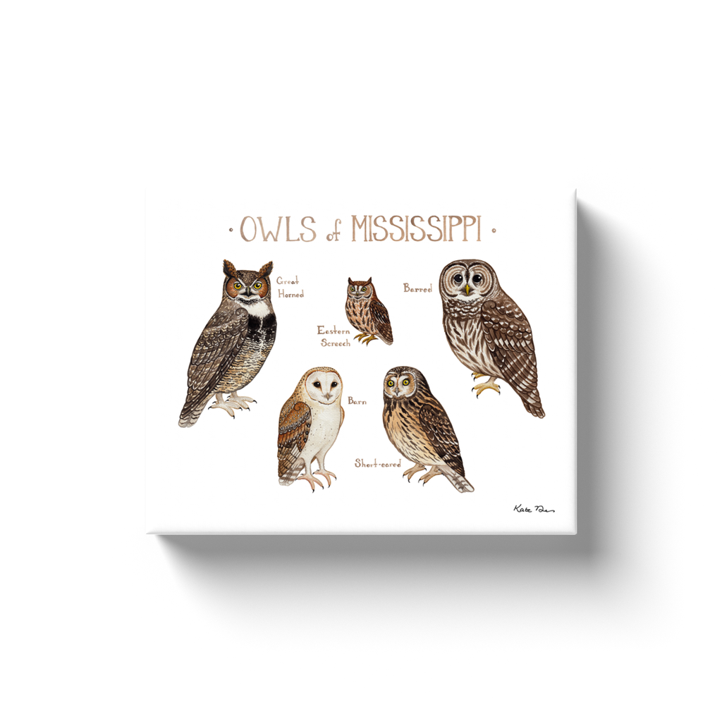 Mississippi Owls Ready to Hang Canvas Print