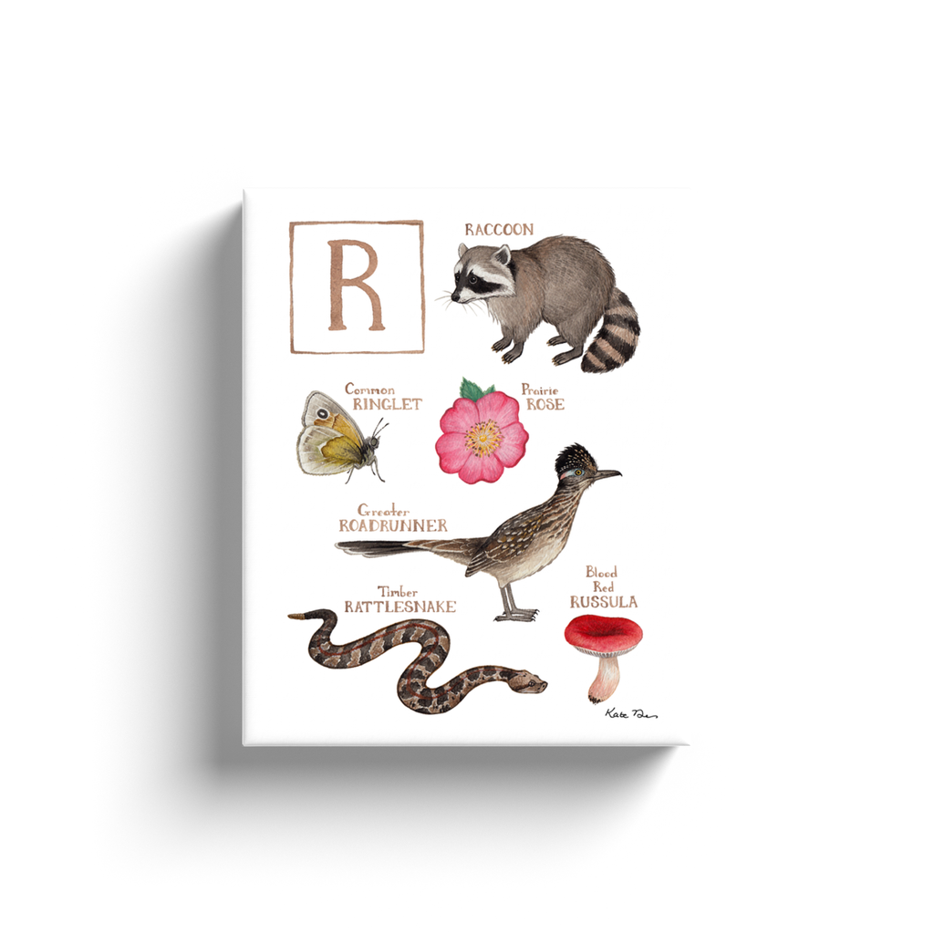 The Letter R Nature Alphabet Ready to Hang Canvas Print