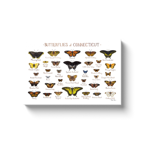 Connecticut Butterflies Ready to Hang Canvas Print