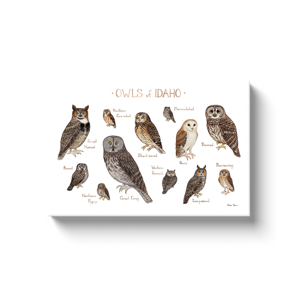 Idaho Owls Ready to Hang Canvas Print