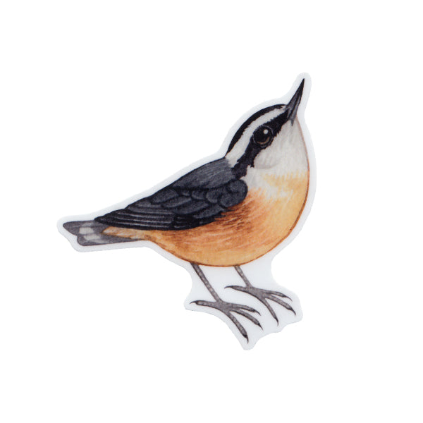 Red-breasted Nuthatch Vinyl Sticker