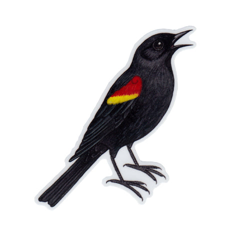 Red-winged Blackbird Vinyl Sticker