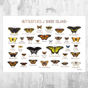 Rhode Island Butterflies Field Guide Art Print