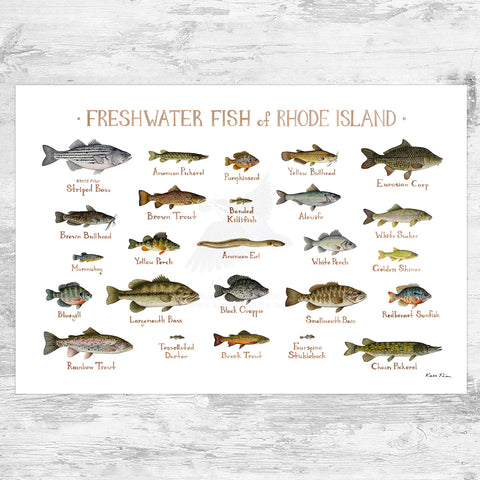Rhode Island Freshwater Fish Field Guide Art Print