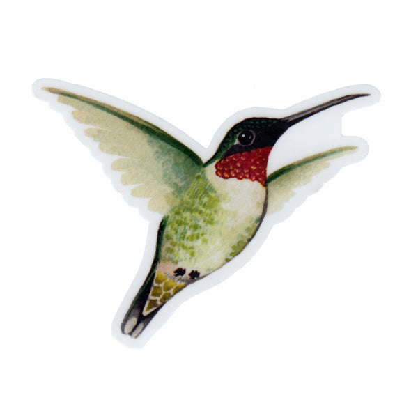 Ruby-throated Hummingbird Vinyl Sticker