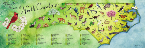 *SALE* Flora & Fauna of North Carolina 36x12 Art Print