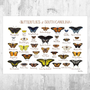 South Carolina Butterflies Field Guide Art Print
