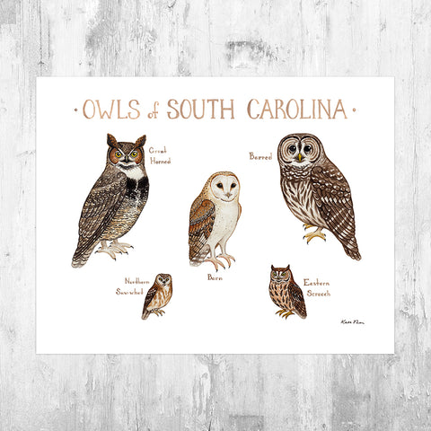 South Carolina Owls Field Guide Art Print